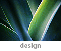 design services