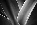 design services